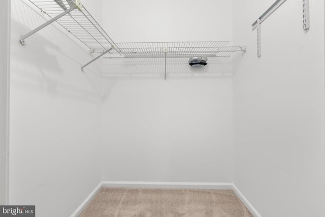 10807 Bent Tree Dr, Fredericksburg, VA 22407 - spacious closet featuring light carpet