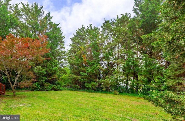 10807 Bent Tree Dr, Fredericksburg, VA 22407 - view of grassy yard