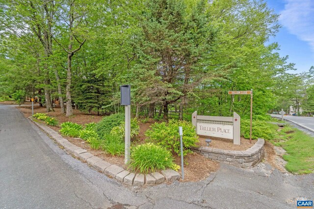 23 Trillium Close Close, Wintergreen Resort, VA 22967 - photo 48