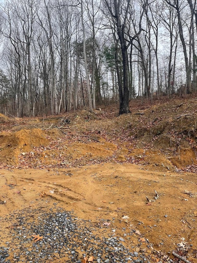 TBD Smokey Row Rd, Staunton, VA 24401 - photo 2