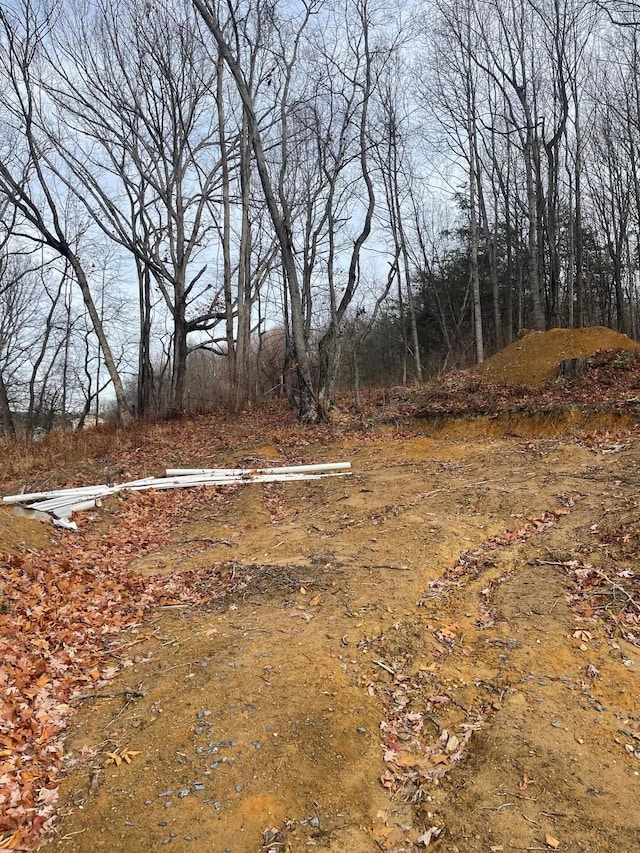 TBD Smokey Row Rd, Staunton, VA 24401 - photo 1