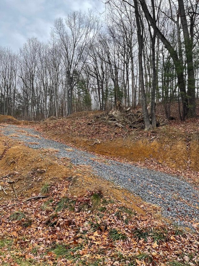TBD Smokey Row Rd, Staunton, VA 24401 - photo 5