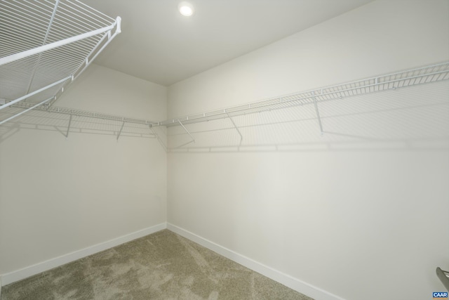 107 Archer Dr, Palmyra, VA 22963 - walk in closet featuring carpet flooring
