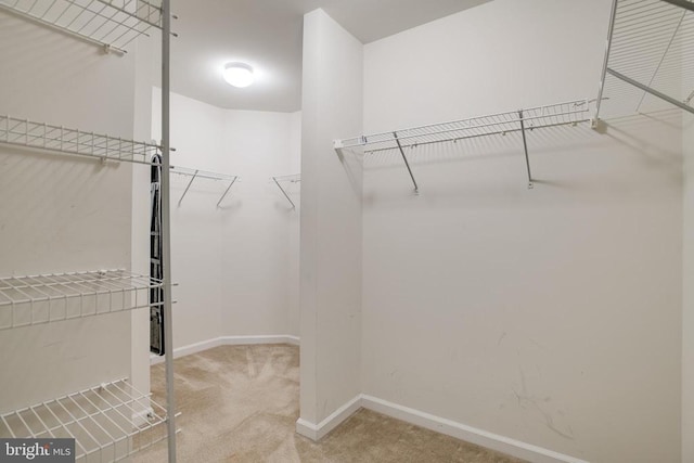 2032 Magnolia Cir, Culpeper, VA 22701 - photo 25