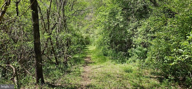  - photo 55