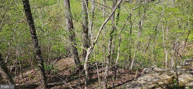  - photo 53