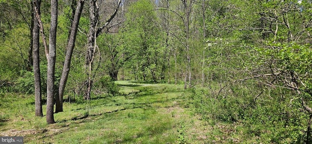  - photo 56