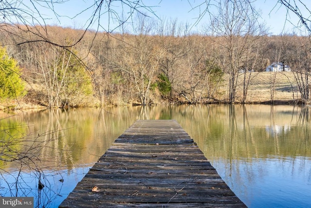  - dock area featuring a water view and a wooded view