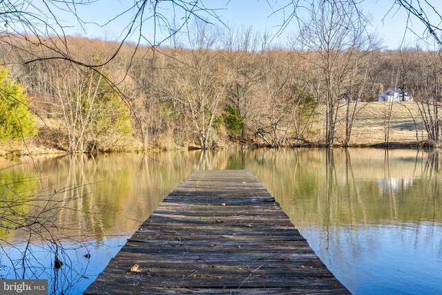  - dock area featuring a water view and a wooded view