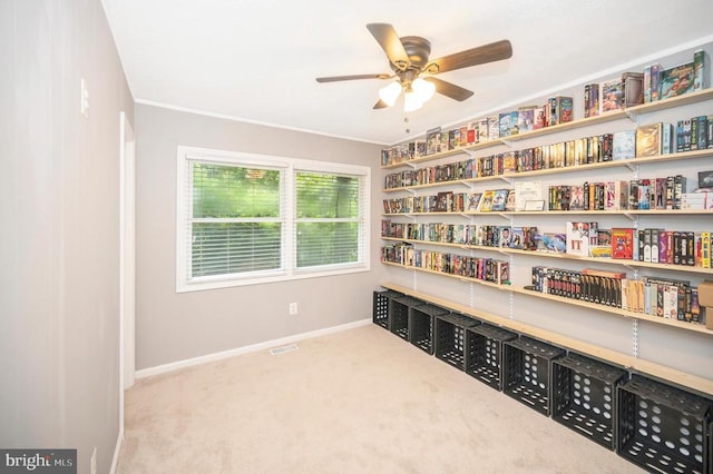 202 Wilderness Dr, Locust Grove, VA 22508 - photo 10