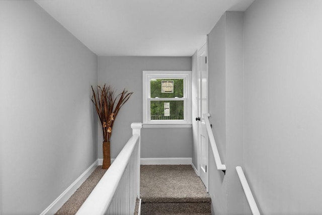 14372 E Side Hwy S, Grottoes, VA 24401 - stairs with carpet floors and baseboards