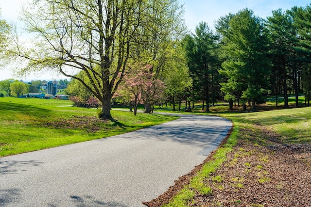 LOT5 Fox Hill Dr, Port Republic, VA 24471 - photo 9