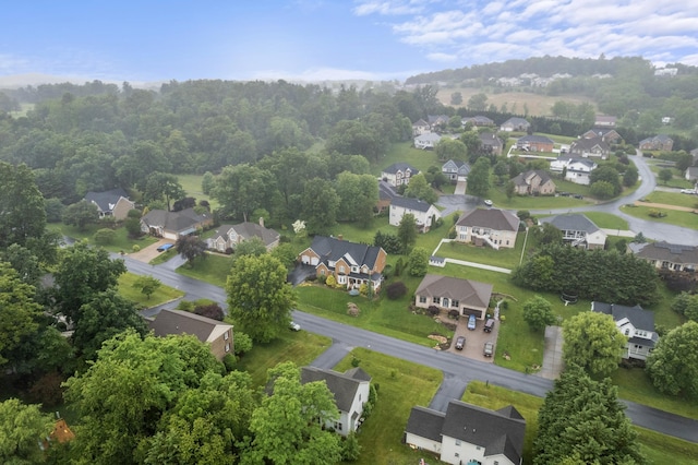 740 Confederacy Dr, Penn Laird, VA 22846 - aerial view of residential area