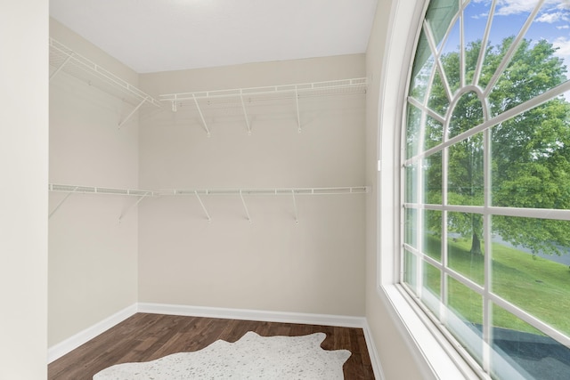 740 Confederacy Dr, Penn Laird, VA 22846 - walk in closet featuring dark wood-type flooring