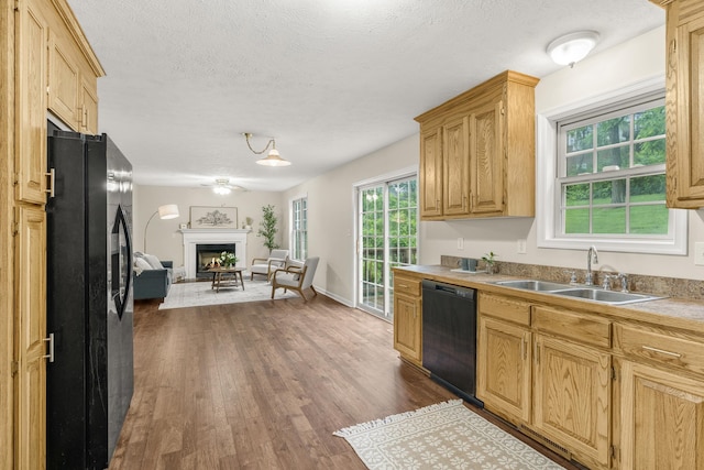 740 Confederacy Dr, Penn Laird, VA 22846 - kitchen featuring black appliances, a sink, dark wood finished floors, open floor plan, and a textured ceiling