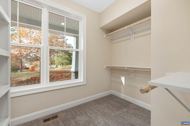 221 Yates Cir, Stanardsville, VA 22968 - photo 28