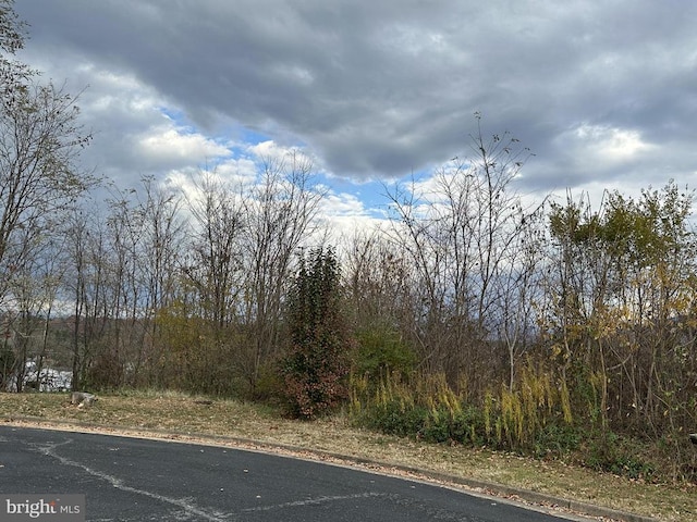 Independence Dr, Luray, VA 22835