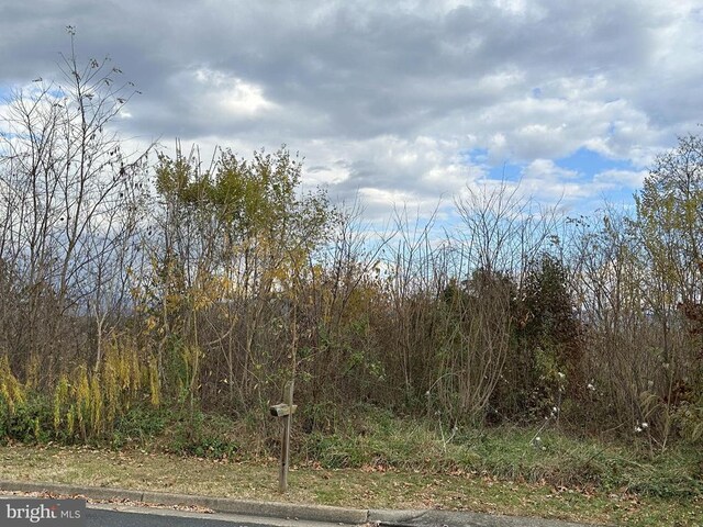 Independence Dr, Luray, VA 22835