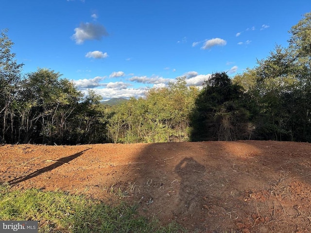 Independence Dr, Luray, VA 22835