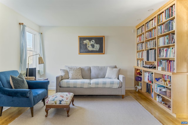 living area featuring wood finished floors and baseboards