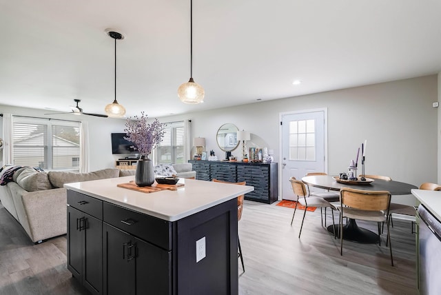 16715 Prospect Ave E, Elkton, VA 22827 - kitchen with open floor plan, dark cabinetry, light wood-style flooring, light countertops, and a center island