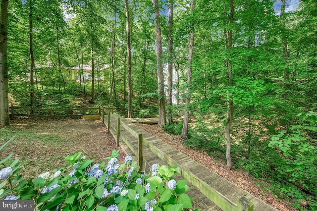 14906 Laurel Point Ln, Spotsylvania, VA 22551 - view of yard