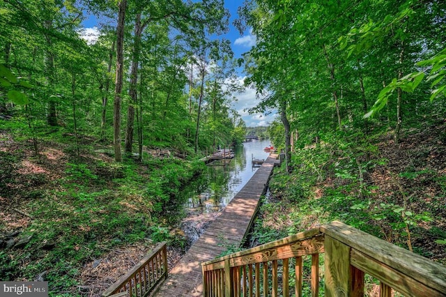14906 Laurel Point Ln, Spotsylvania, VA 22551 - view of community featuring a water view and a boat dock