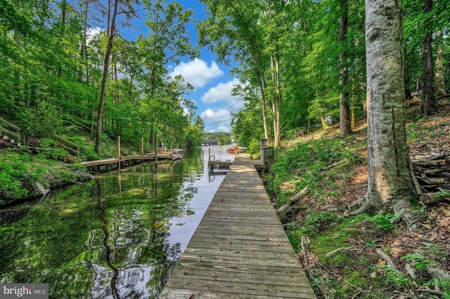 14906 Laurel Point Ln, Spotsylvania, VA 22551 - dock area with a water view