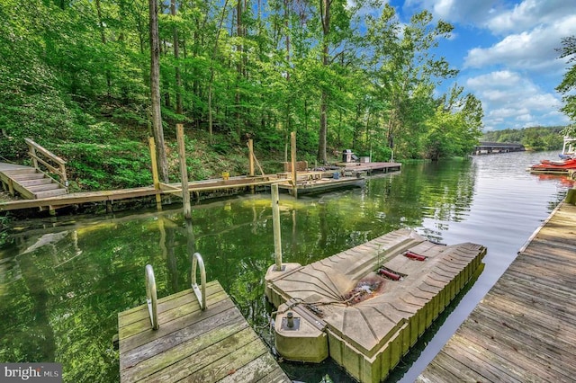 14906 Laurel Point Ln, Spotsylvania, VA 22551 - dock with a water view and a forest view