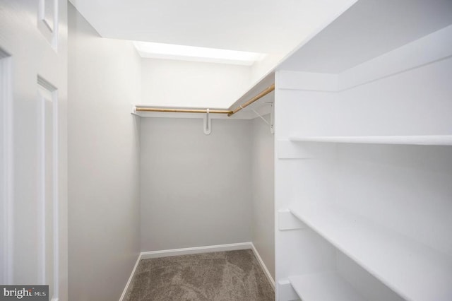 14906 Laurel Point Ln, Spotsylvania, VA 22551 - walk in closet with carpet flooring