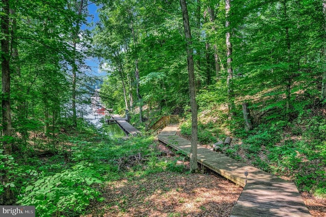 14906 Laurel Point Ln, Spotsylvania, VA 22551 - view of tree filled area