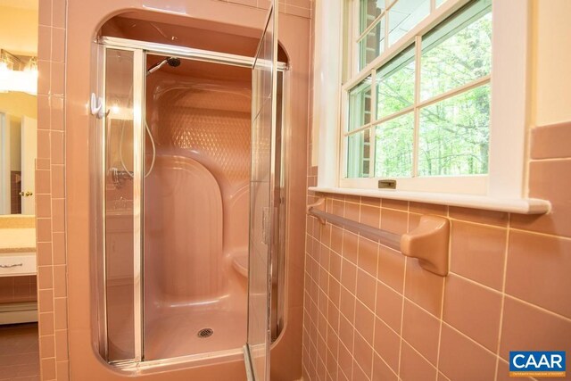 18220 Gregory Dr, Gordonsville, VA 22942 - bathroom featuring tile walls, a shower stall, and plenty of natural light