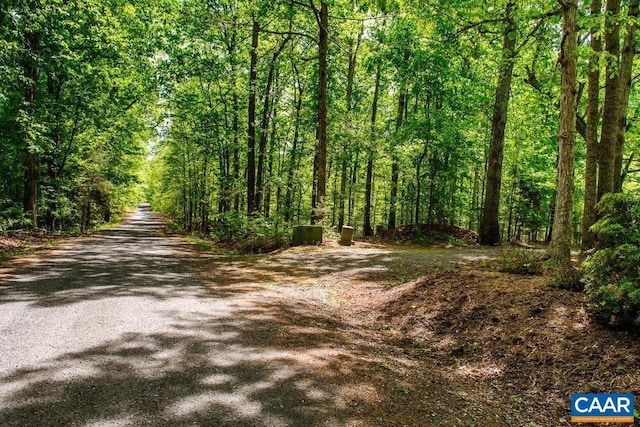 18220 Gregory Dr, Gordonsville, VA 22942 - view of road featuring a view of trees