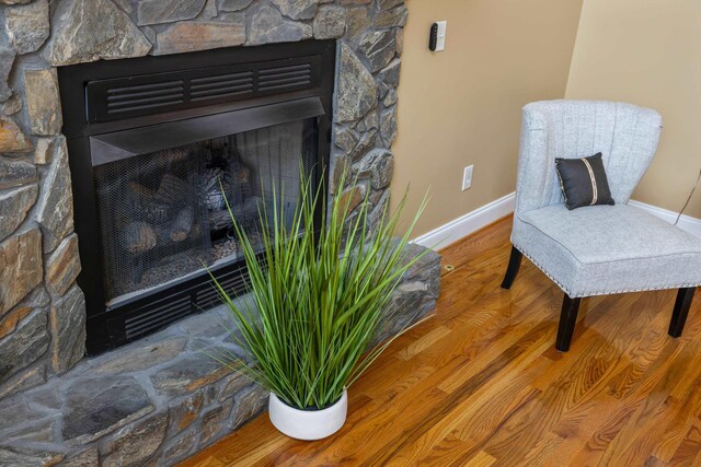 details featuring baseboards, a stone fireplace, and wood finished floors