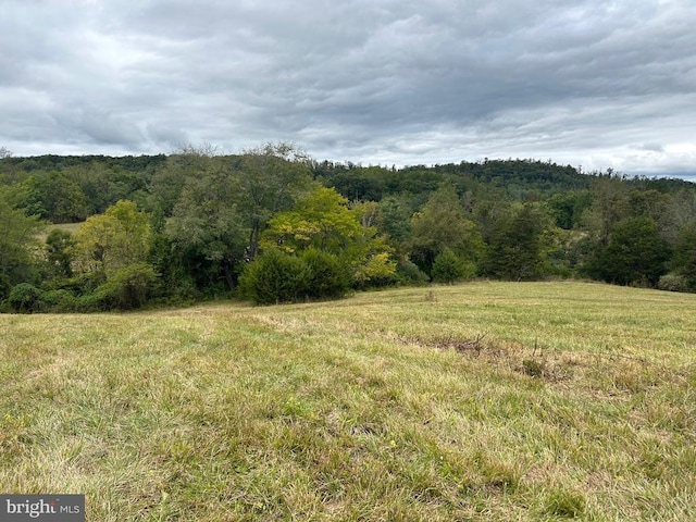 Ryland Chapel Rd, Jeffersonton, VA 22724 - view of local wilderness featuring a rural view and a wooded view
