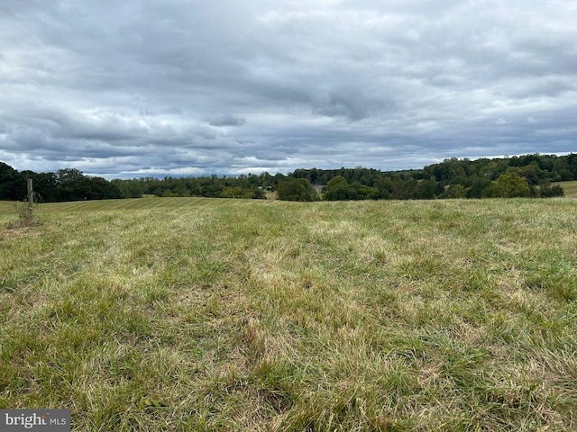 Ryland Chapel Rd, Jeffersonton, VA 22724 - view of local wilderness featuring rural landscape