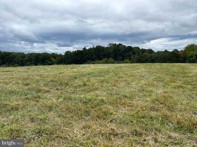 Ryland Chapel Rd, Jeffersonton, VA 22724 - view of tree filled area with a rural view