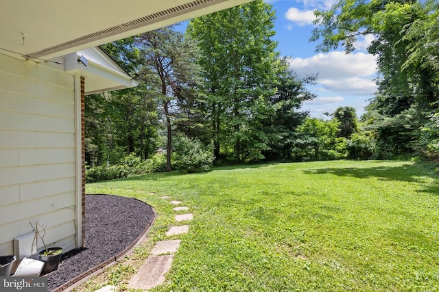  - view of grassy yard