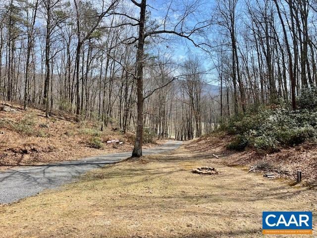 1308 Spruce St, Monterey, VA 24465 - view of road with a forest view