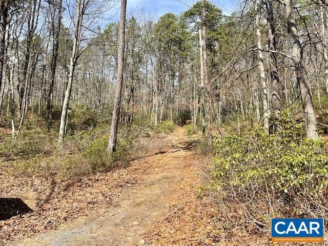 1308 Spruce St, Monterey, VA 24465 - view of street featuring a forest view