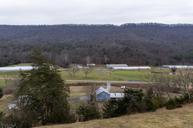 15745 Runions Creek Rd, Broadway, VA 22815 - birds eye view of property with a rural view, a forest view, and a mountain view
