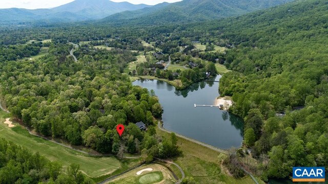 LOT2 Lakeview Ct, Nellysford, VA 22958