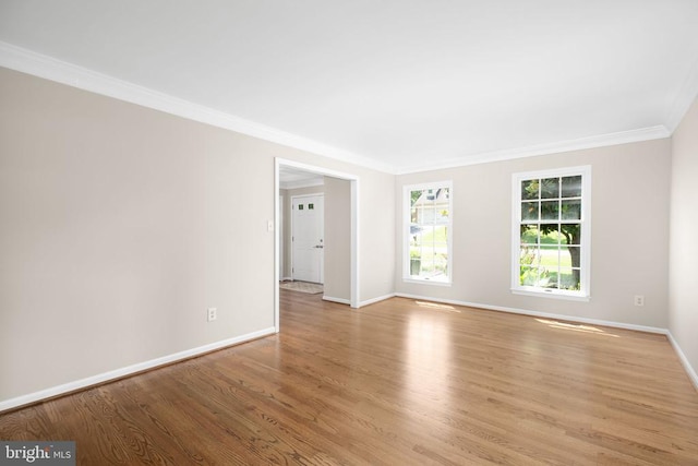 6901 Lakeland Way, Fredericksburg, VA 22407 - photo 10