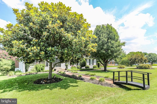 6901 Lakeland Way, Fredericksburg, VA 22407 - photo 60