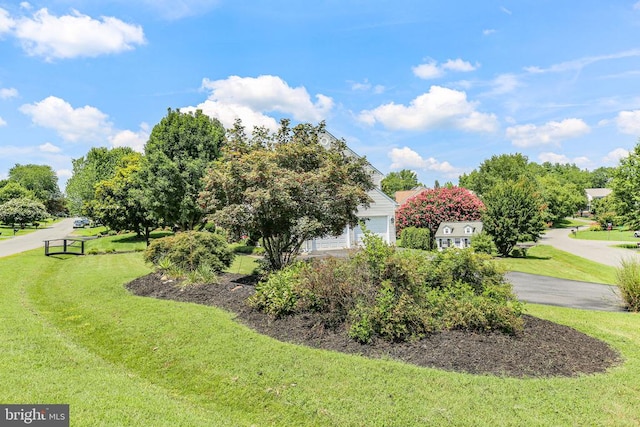 6901 Lakeland Way, Fredericksburg, VA 22407 - photo 63