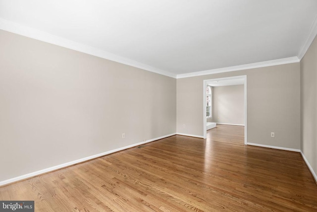 6901 Lakeland Way, Fredericksburg, VA 22407 - photo 11