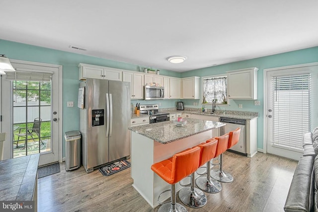 307 Cardinal, Louisa, VA 23093 - kitchen featuring stainless steel appliances, healthy amount of natural light, a kitchen island, and a kitchen breakfast bar