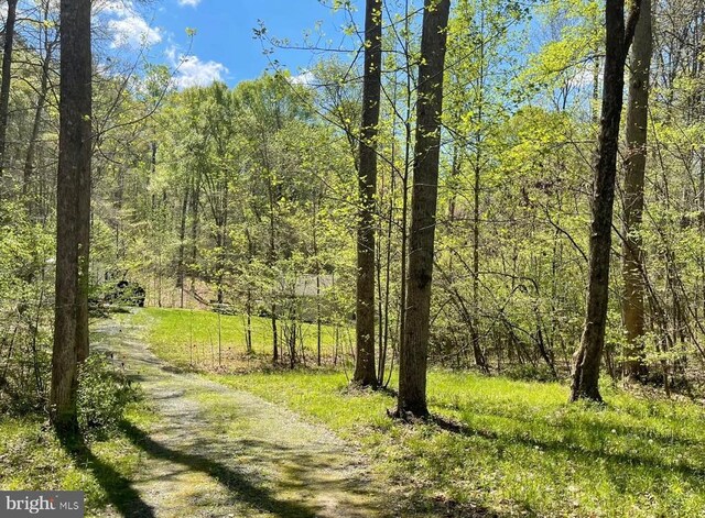 251 Hawk Cir, Locust Dale, VA 22948