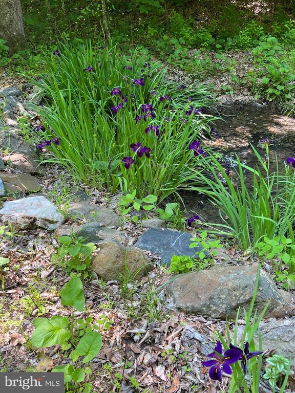 251 Hawk Cir, Locust Dale, VA 22948