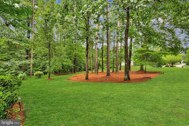 11607 Fawn Lake Pkwy, Spotsylvania, VA 22551 - photo 39